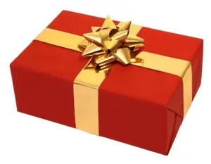 Host Merchant Services image of a present