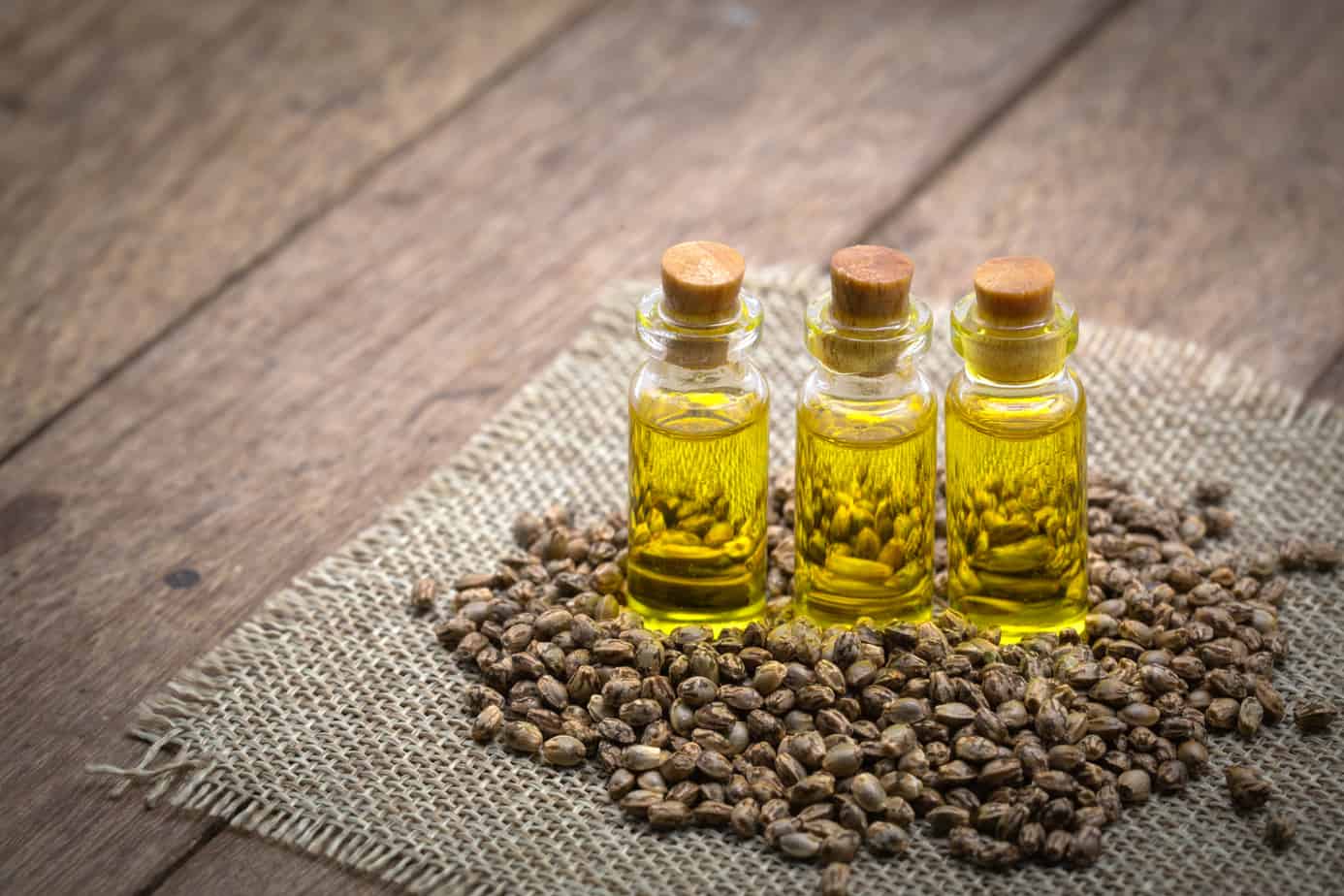 cbd hemp oil products cannabis oil against marijuana plant herbal treatment alternative medicine 163296017