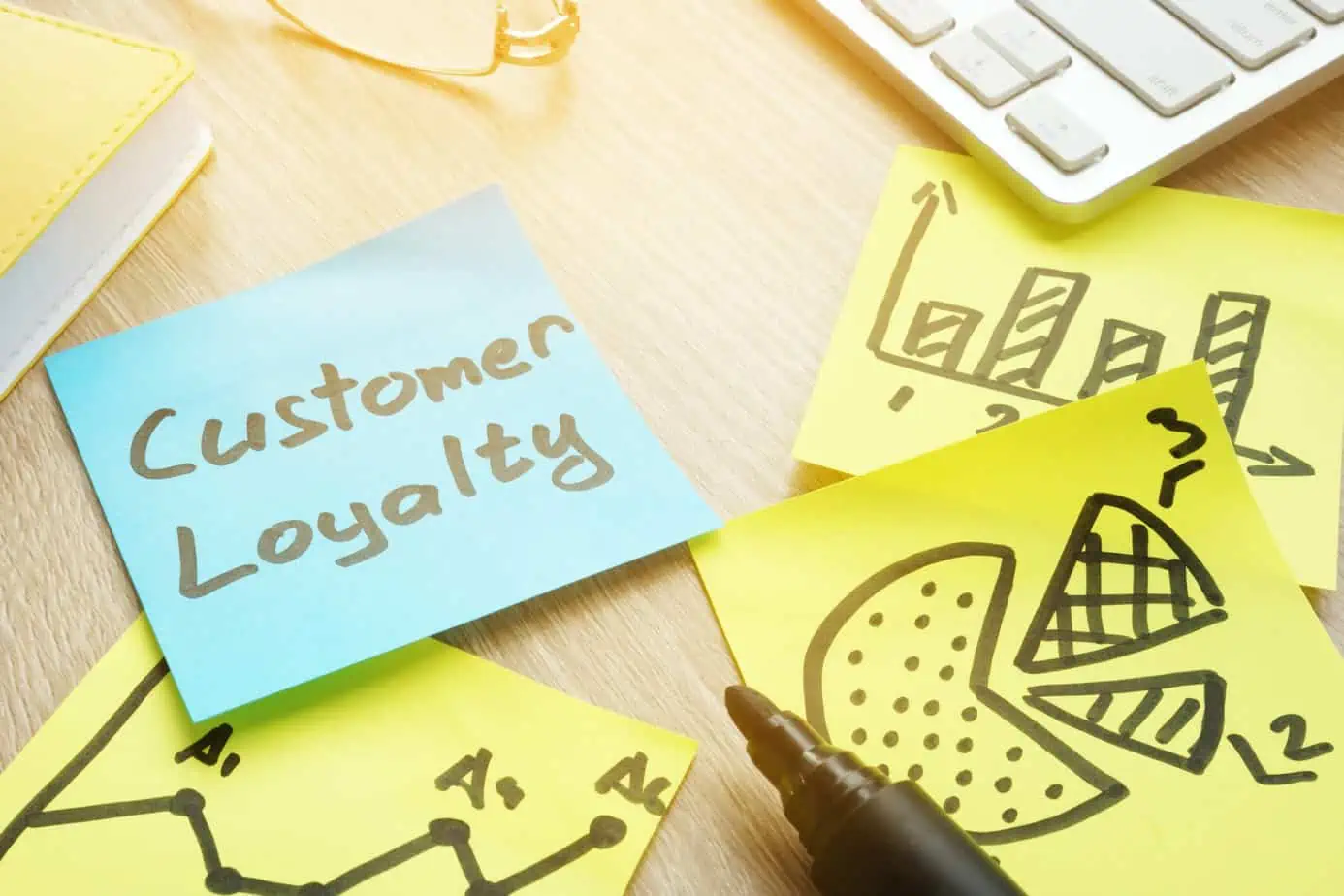 customer loyalty programs