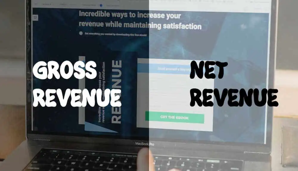 Gross Revenue vs Net Revenue