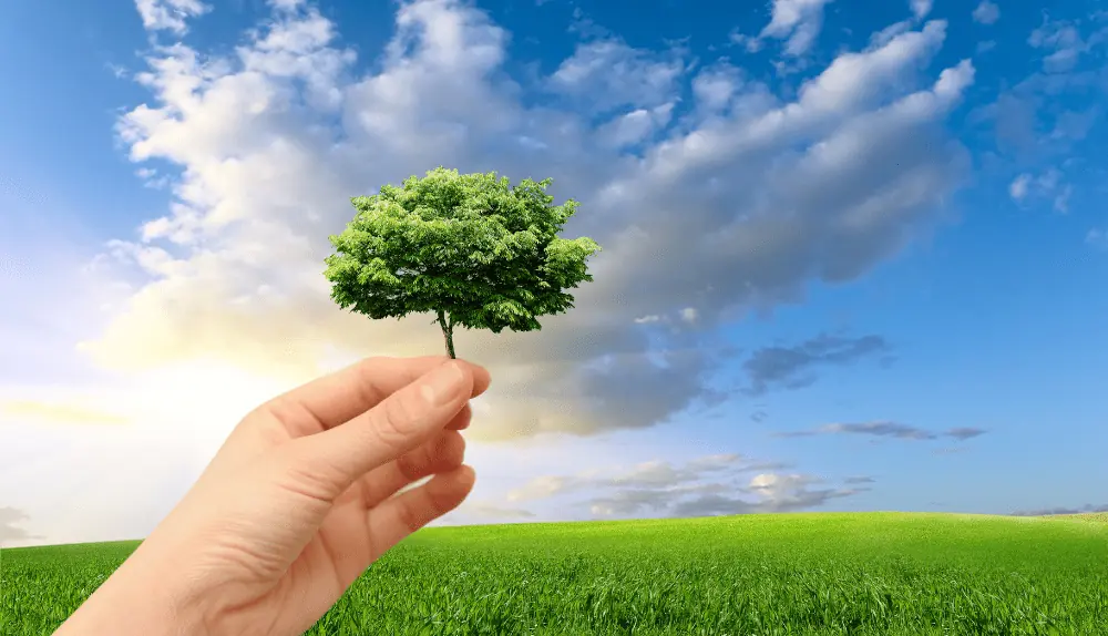 Environmental trends shaping fintech - environmental sustainability