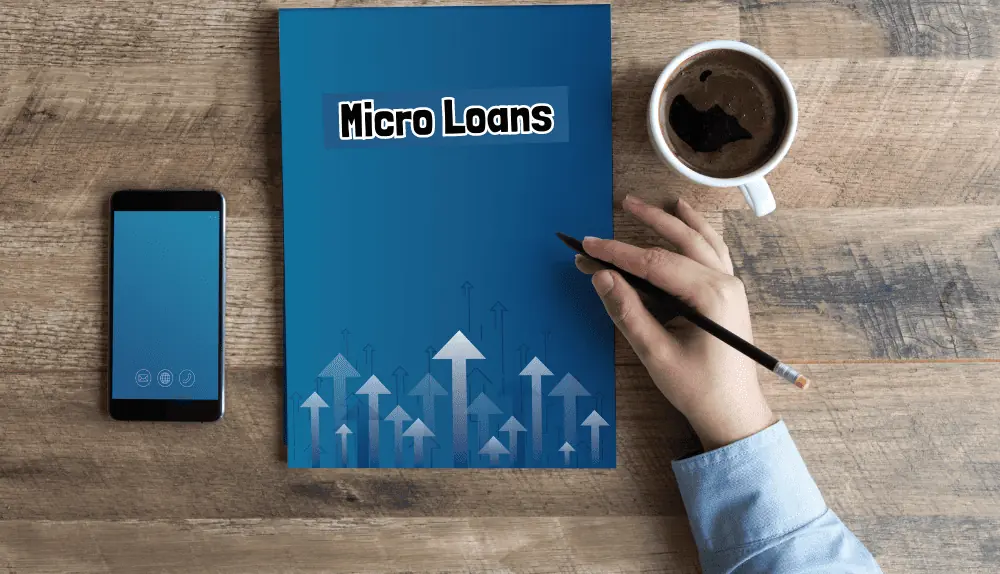 What Is a Microloan