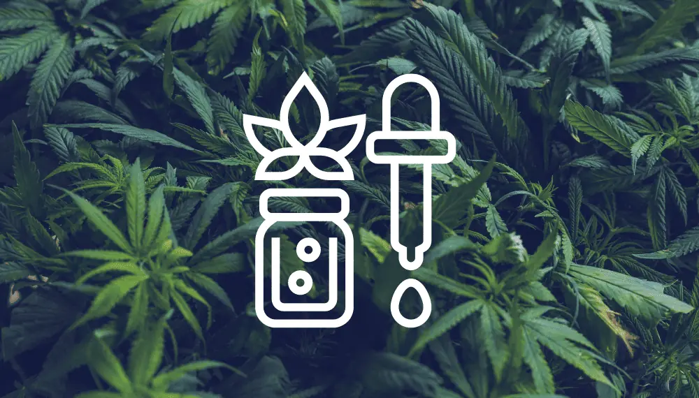 Can You Advertise And Sell CBD on Facebook in 2023?