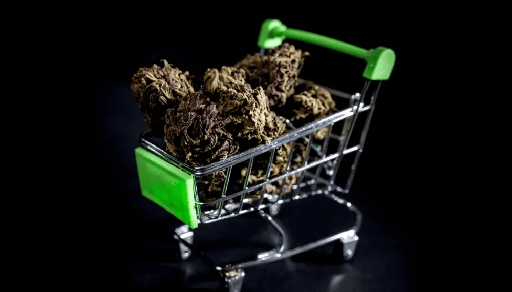Can You Sell CBD on Amazon? Host Merchant Services
