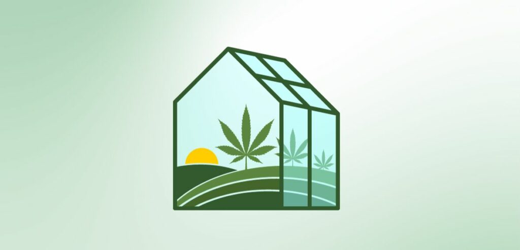 Understanding Cannabis Business Loans