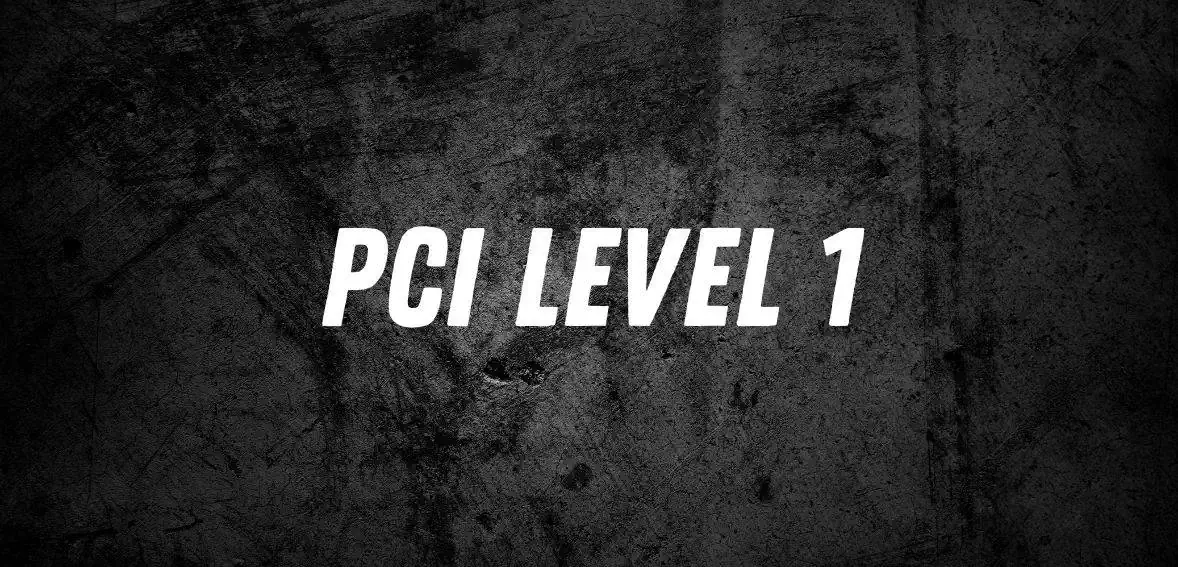 What Is PCI Level 1?