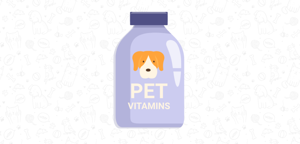 2 4 Top Pet Product Ideas for eCommerce