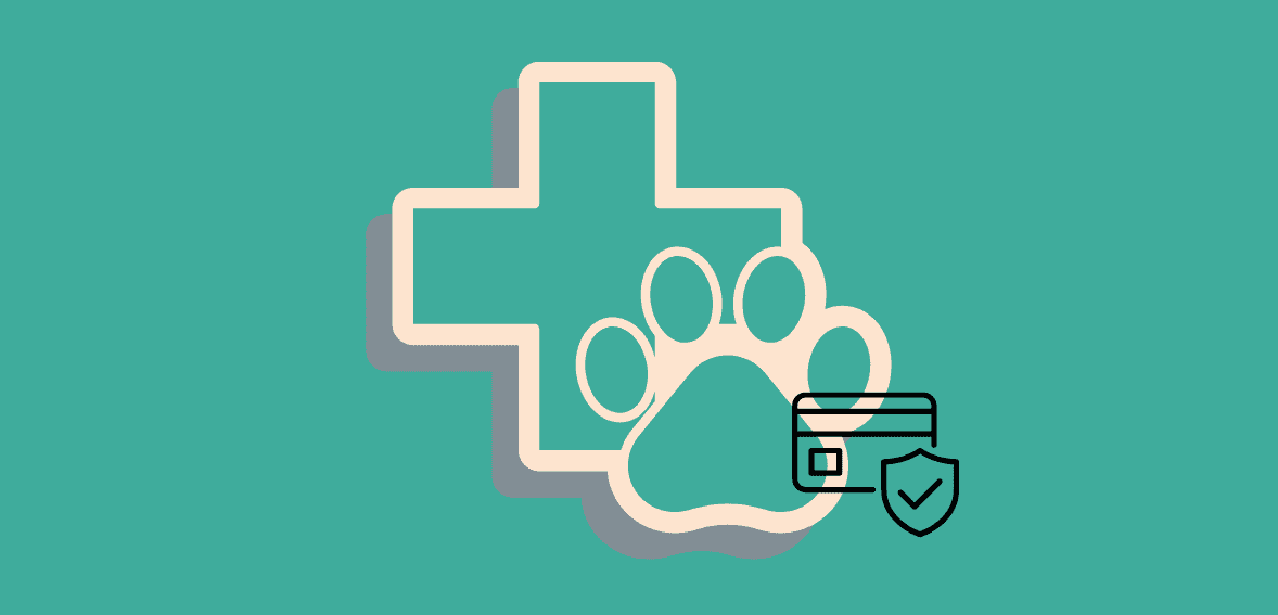 The Future of Veterinary Payments