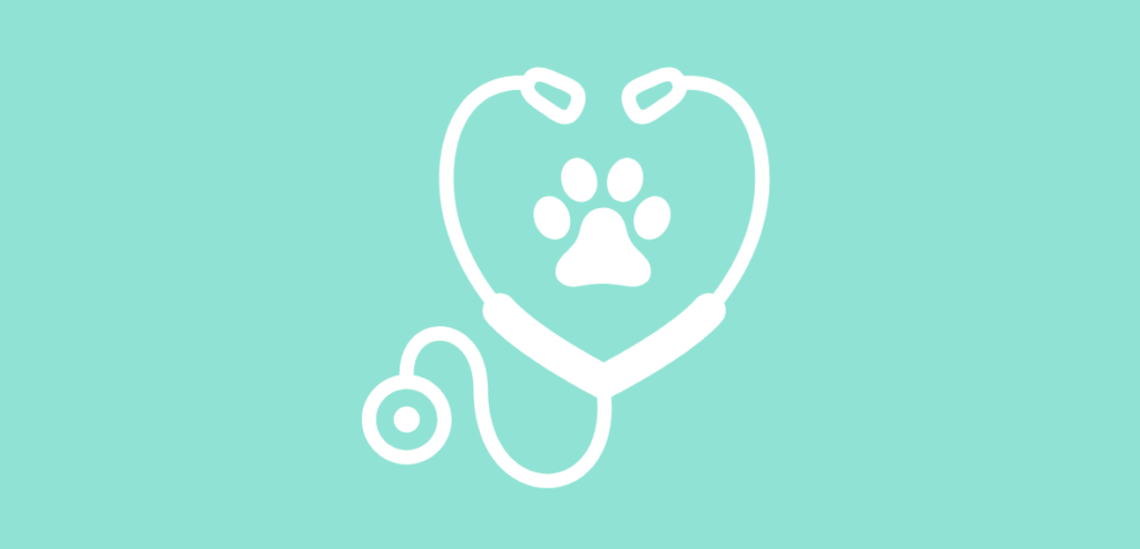 2 12 What Is a Veterinary Integrated Payment System?