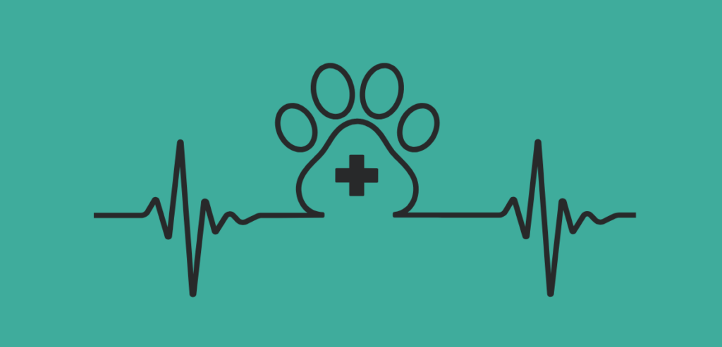 2 16 16 Developments Shaping the Future of Veterinary Payments Solutions
