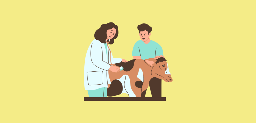10 Ways to Minimize Veterinary Payment Processing Costs