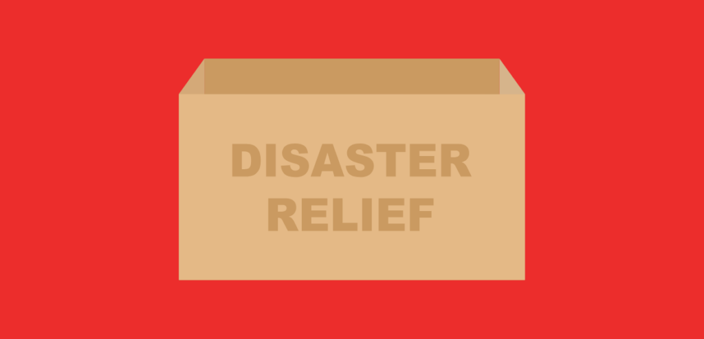 2 9 What Is the Disaster Supplemental Nutrition Assistance Program?