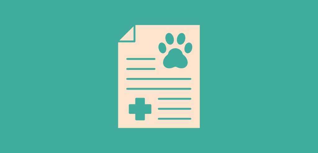 3 13 The Shift from Traditional to Digital Veterinary Payments