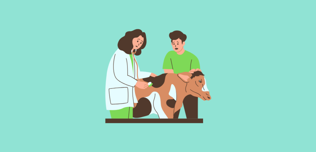 4 13 The Challenges Faced by Veterinary Practices