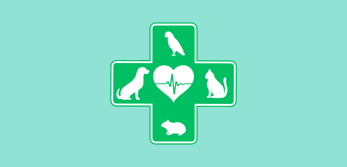 Enhancing Pet Care: How Integrated Payment Systems Improve Veterinary Practice Efficiency