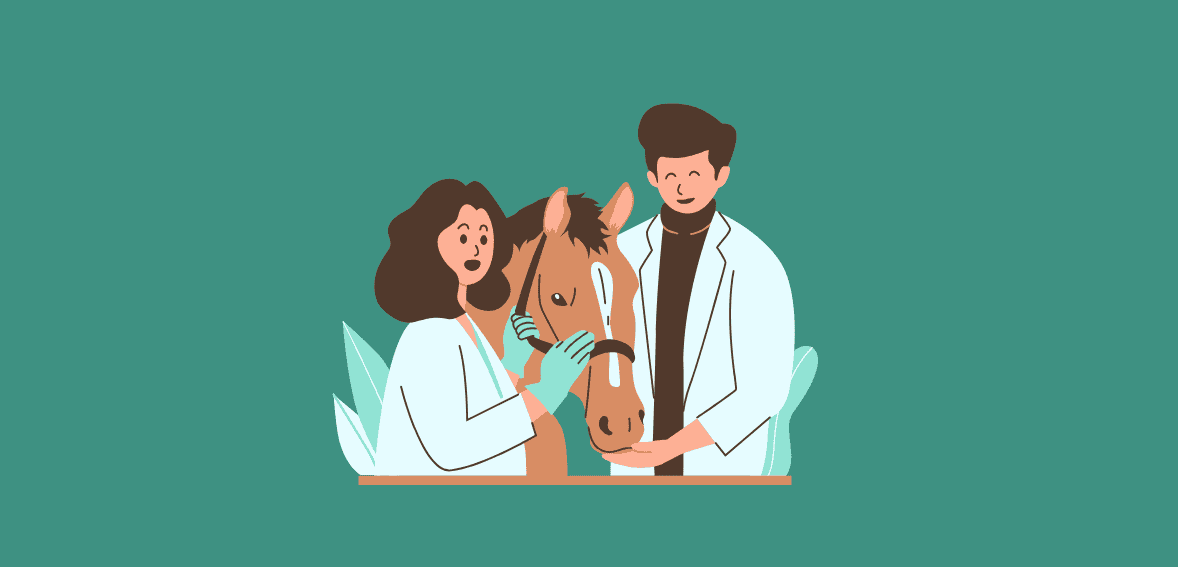 Payment Options in Veterinary Clinics