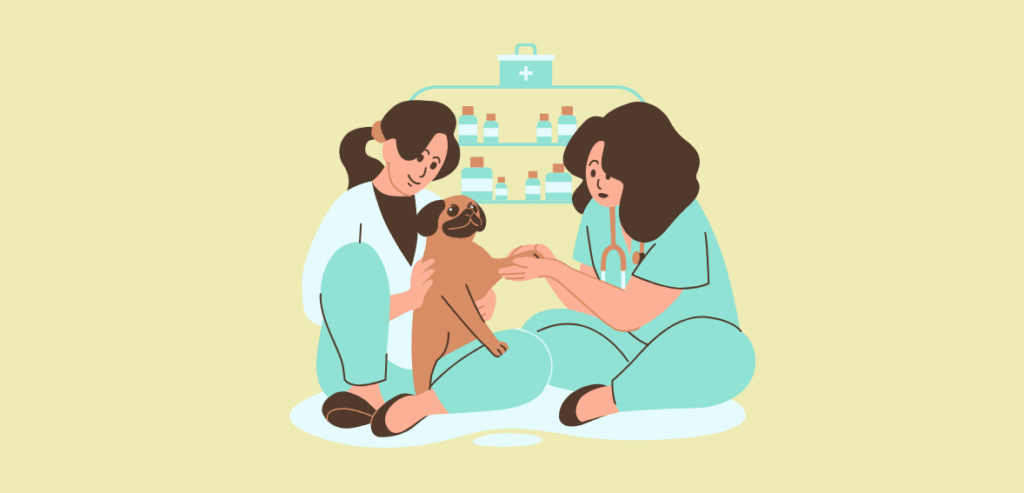 Veterinary Practice Veterinary Practice
